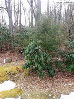 TBD Midvalley Road, Blowing Rock, NC 28605