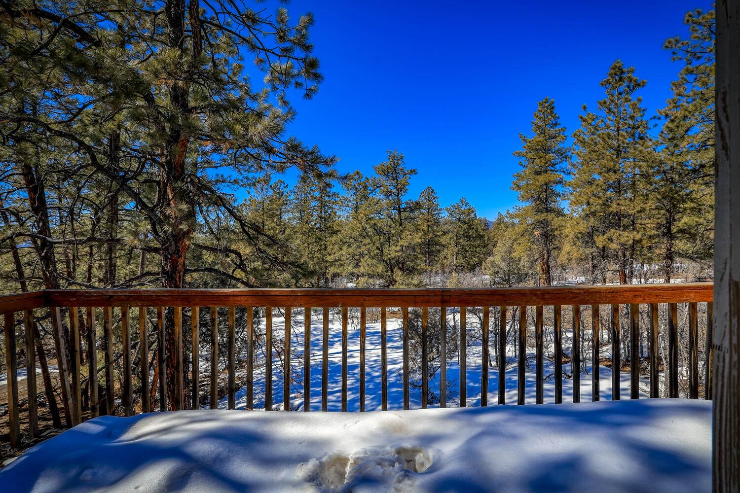 875 Crooked Road, Pagosa Springs, CO 81147