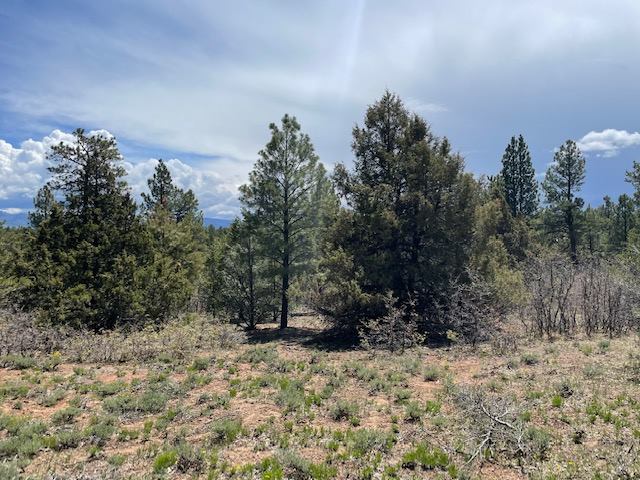 Lot 7 Big Canyon Point, Ridgway, CO 81432