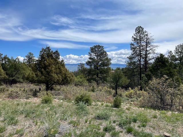 Lot 7 Big Canyon Point, Ridgway, CO 81432