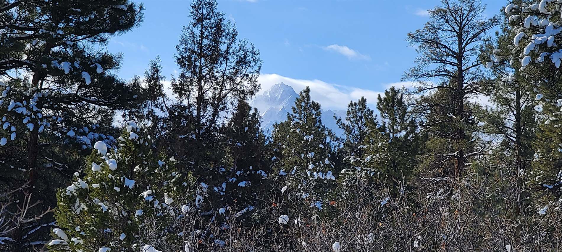 Lot 7 Big Canyon Point, Ridgway, CO 81432