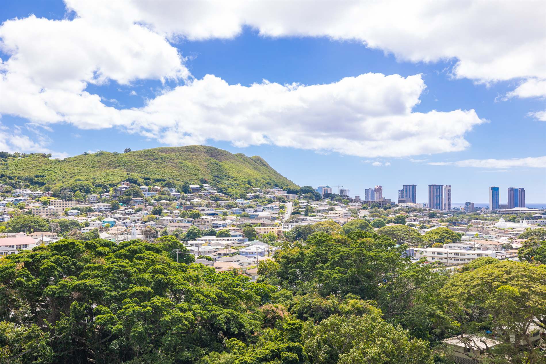 38 South Judd Street #12B, Honolulu, HI 96817