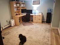 857 Grove, Worcester, MA 01605