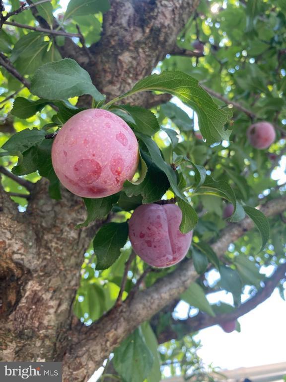 22 Martin Lane, Norwood, PA 19074