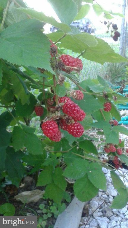 22 Martin Lane, Norwood, PA 19074