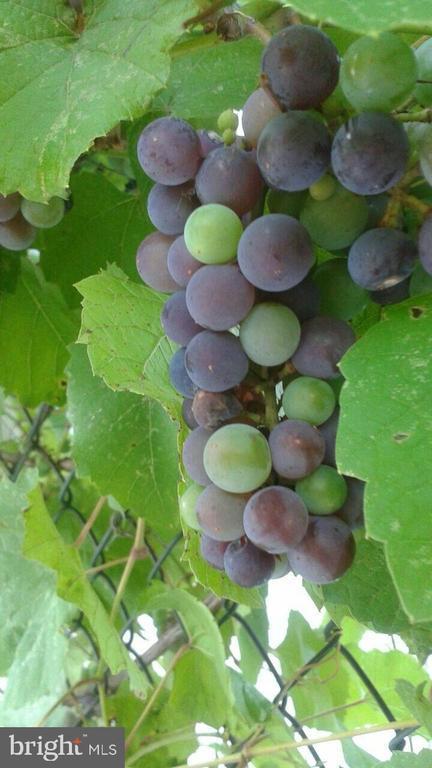 22 Martin Lane, Norwood, PA 19074