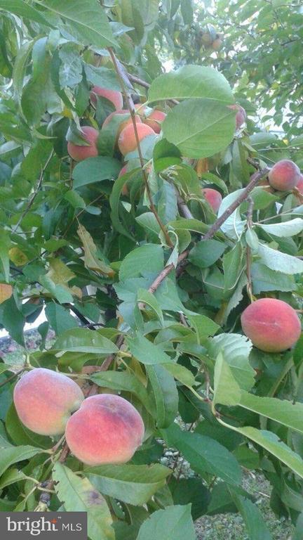 22 Martin Lane, Norwood, PA 19074