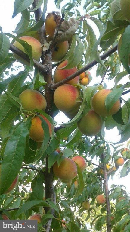 22 Martin Lane, Norwood, PA 19074