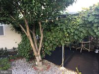 22 Martin Lane, Norwood, PA 19074