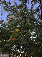 22 Martin Lane, Norwood, PA 19074