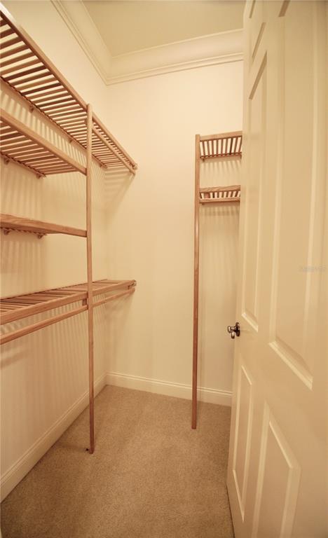 102 Acadia Terrace, Celebration, FL 34747