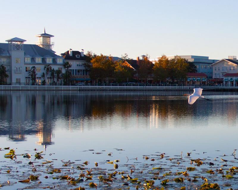 102 Acadia Terrace, Celebration, FL 34747