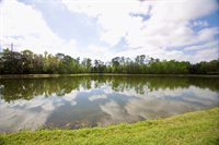 102 Acadia Terrace, Celebration, FL 34747