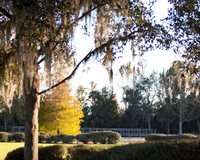 102 Acadia Terrace, Celebration, FL 34747