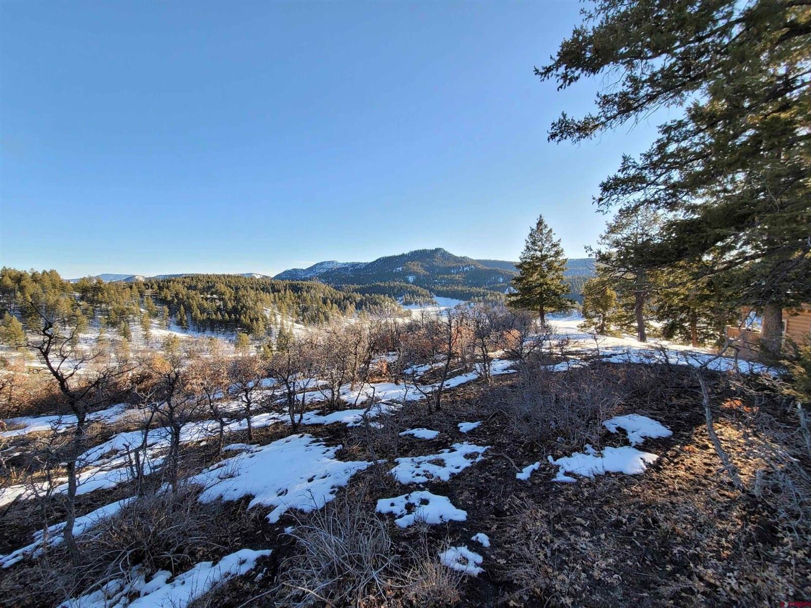 208 Peace Place, Pagosa Springs, CO 81147