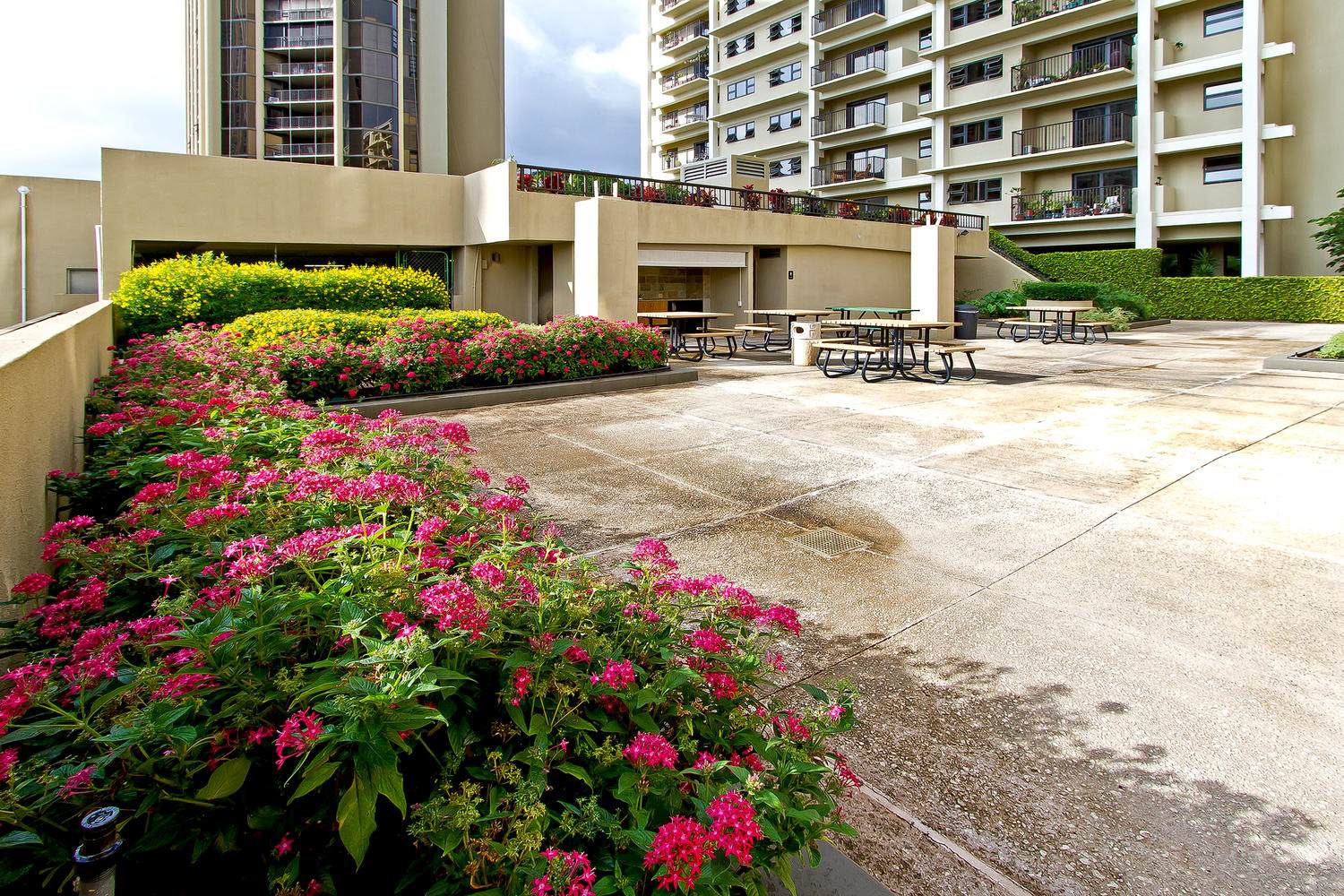 38 S Judd St, Honolulu, HI 96817
