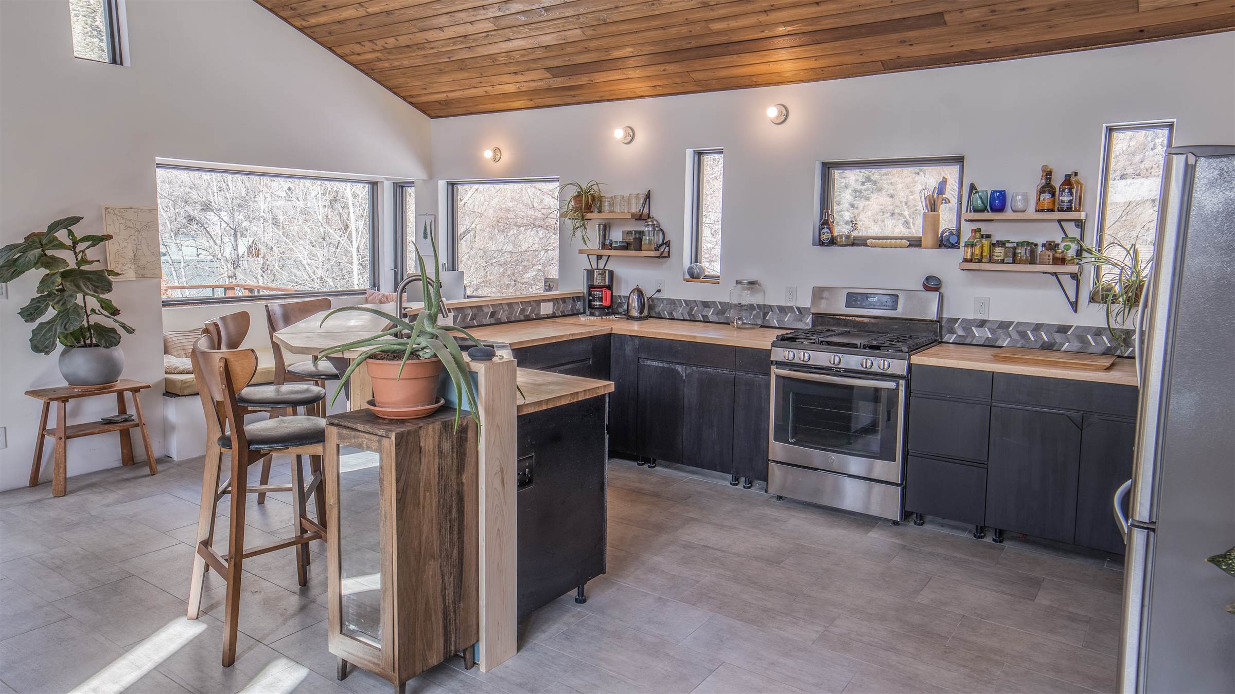 524 Spangler Lane, Ouray, CO 81432