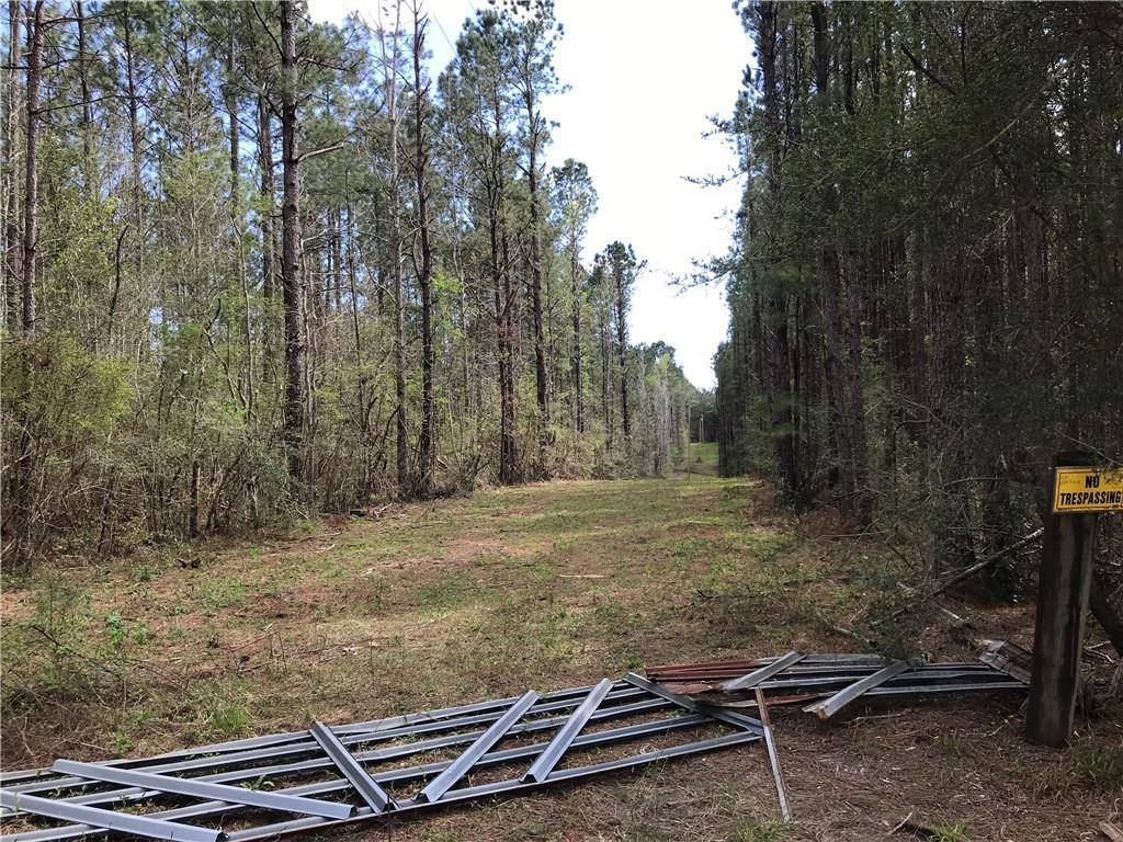 492 Old Ness Plantation Road, Carriere, MS 39426