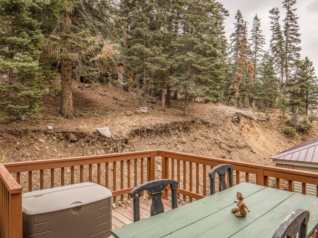 107 Fedel Court, Ouray, CO 81427