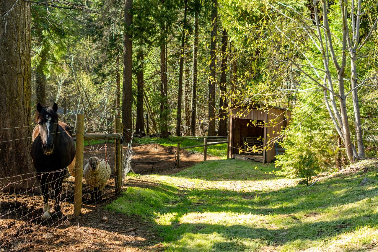 4520 Love Creek Road, Avery, CA 95224