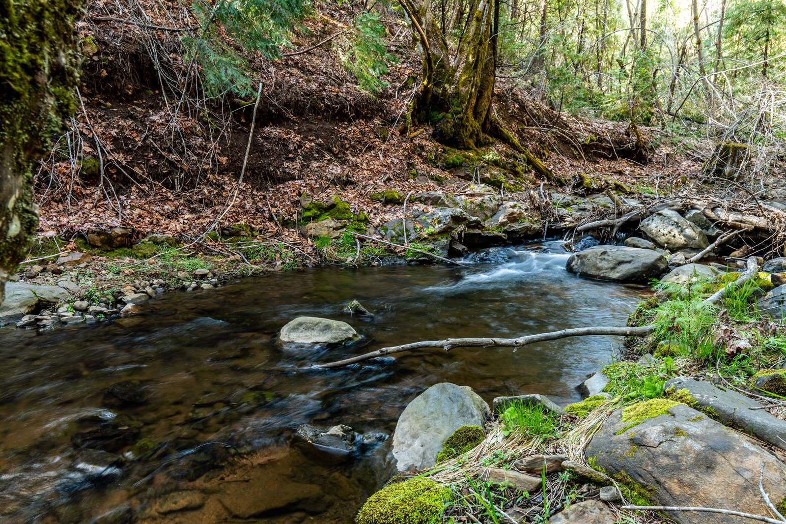 4520 Love Creek Road, Avery, CA 95224