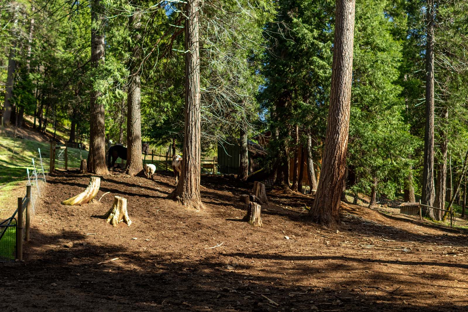 4520 Love Creek Road, Avery, CA 95224