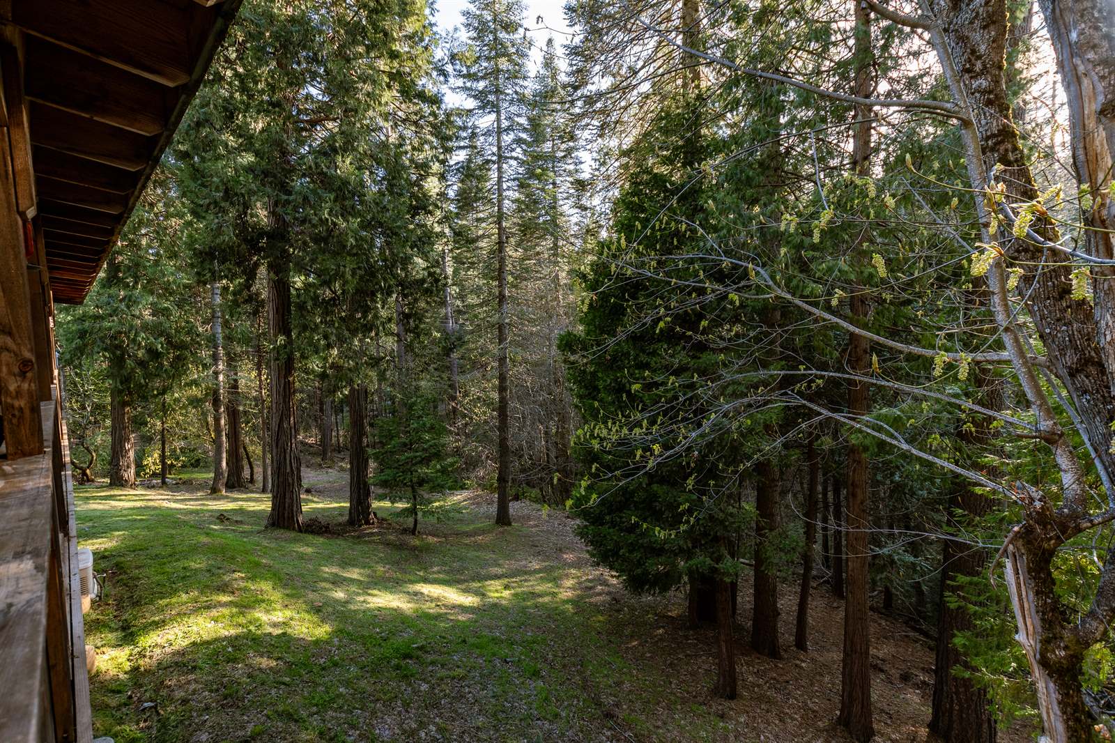 4520 Love Creek Road, Avery, CA 95224
