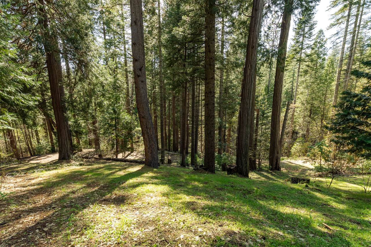 4520 Love Creek Road, Avery, CA 95224