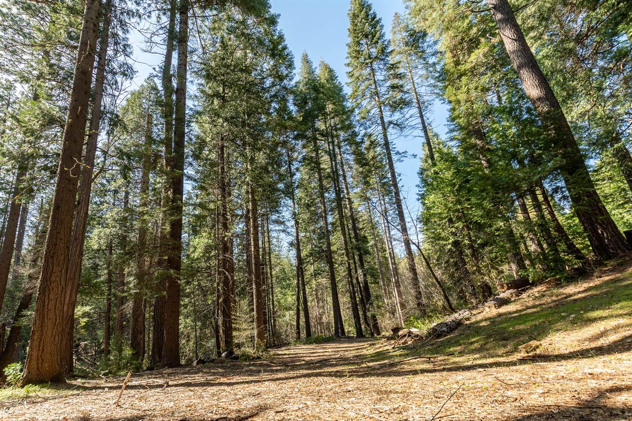 4520 Love Creek Road, Avery, CA 95224