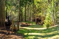 4520 Love Creek Road, Avery, CA 95224