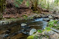 4520 Love Creek Road, Avery, CA 95224