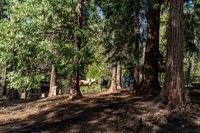 4520 Love Creek Road, Avery, CA 95224