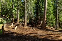 4520 Love Creek Road, Avery, CA 95224