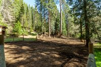 4520 Love Creek Road, Avery, CA 95224