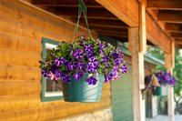 4520 Love Creek Road, Avery, CA 95224