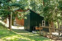 4520 Love Creek Road, Avery, CA 95224