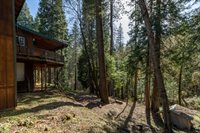4520 Love Creek Road, Avery, CA 95224