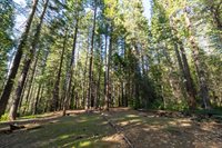 4520 Love Creek Road, Avery, CA 95224