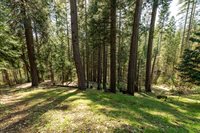 4520 Love Creek Road, Avery, CA 95224