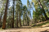 4520 Love Creek Road, Avery, CA 95224