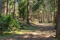 4520 Love Creek Road, Avery, CA 95224