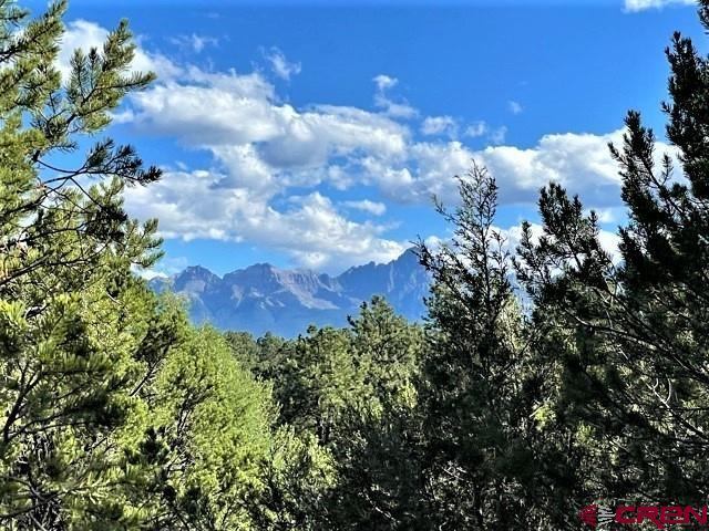 TBD lot 6) Cottontail Lane, Ridgway, CO 81432