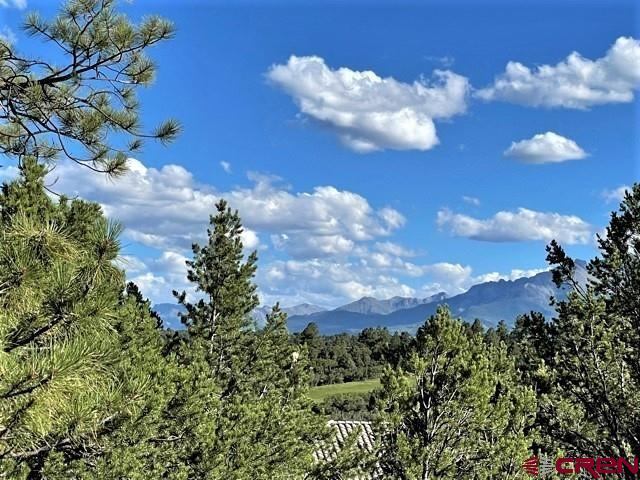 TBD lot 6) Cottontail Lane, Ridgway, CO 81432