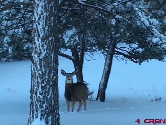 TBD lot 6) Cottontail Lane, Ridgway, CO 81432