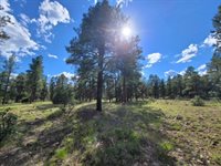 771 Oakbrush St., Pagosa Springs, CO 81147