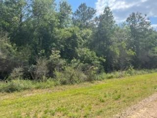 Sharpwood Lane, Amite, LA 70422