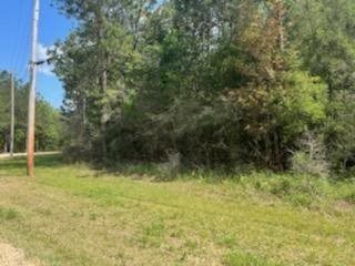 Sharpwood Lane, Amite, LA 70422