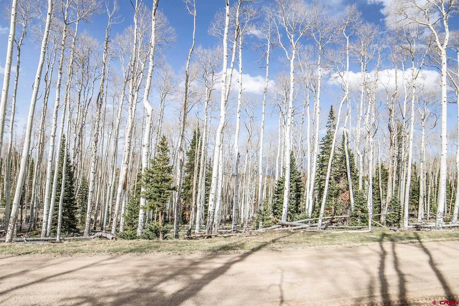 LOT 6B Spruce Mountain Trail, Ridgway, CO 81432