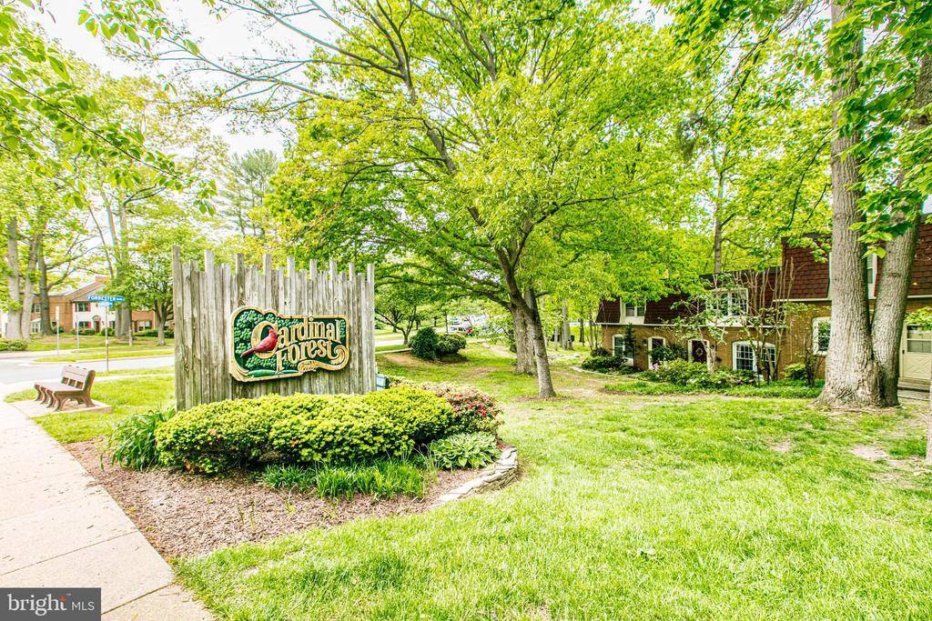 8112 Colony Point Road, Springfield, VA 22152