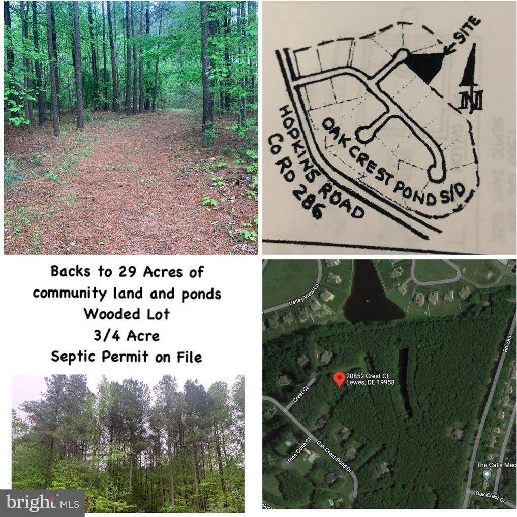 20852 Crest Court, Lewes, DE 19958